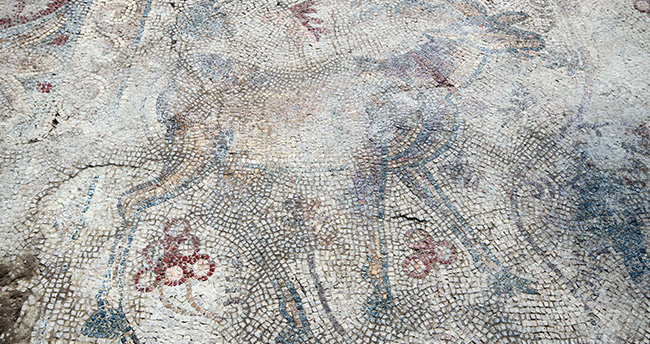 konyada-yonca-tarlasinda-cikan-bin-400-yillik-mozaik-koruma-altina-alindi