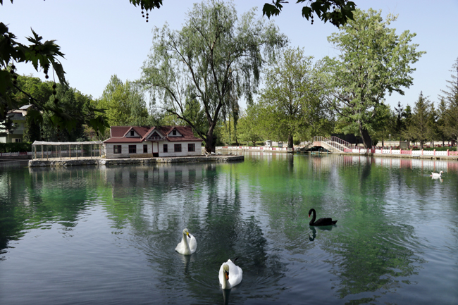 İç Anadolu'nun ortasındaki eşsiz güzellik: Kuğulu Milli Parkı