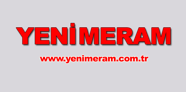 İki çocuk çaldıkları minibüsle kaza yaptı