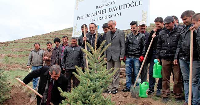 Başbakan Davutoğlu adına hatıra ormanı