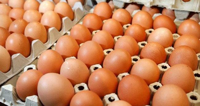 Yumurta yemek için akıllı nedenler!