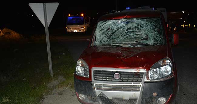 Kamyondan atlayan atlar trafik kazasına neden oldu