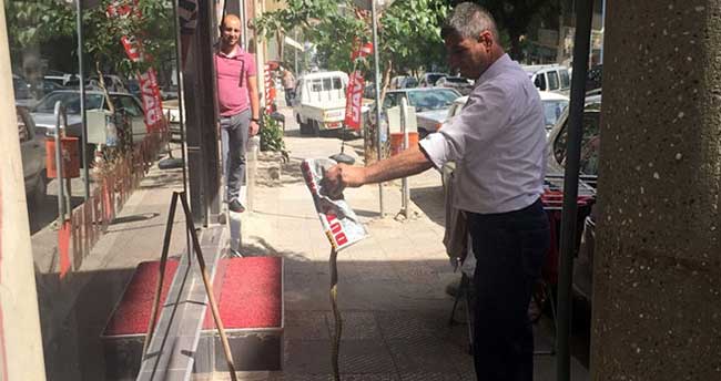 Esnafa saldıran yılanı eliyle yakaladı