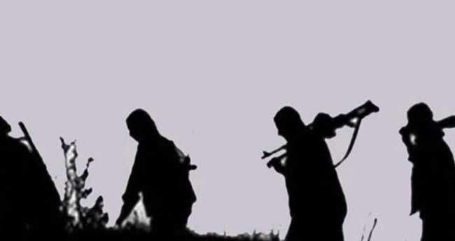 Şırnak’ta 7 PKK’lı teslim oldu