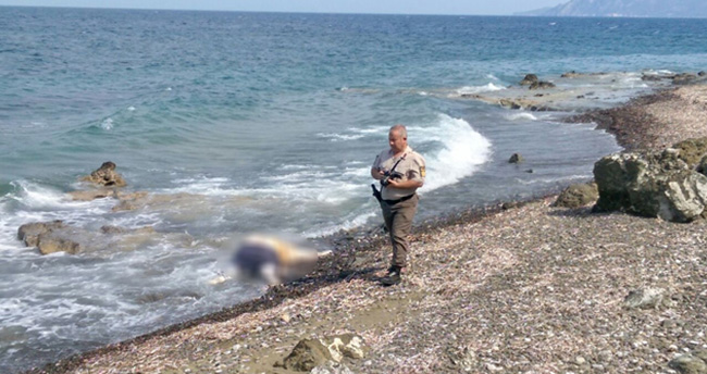 Jandarma Datça sahilinde ceset topluyor