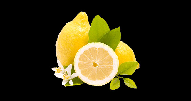 Limon çekirdeğine dikkat!
