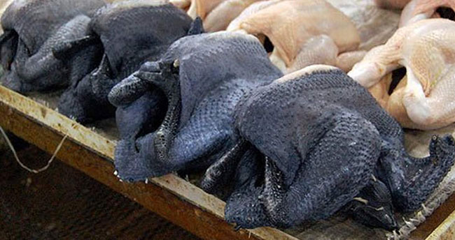 İşte siyah tavuğun faydaları