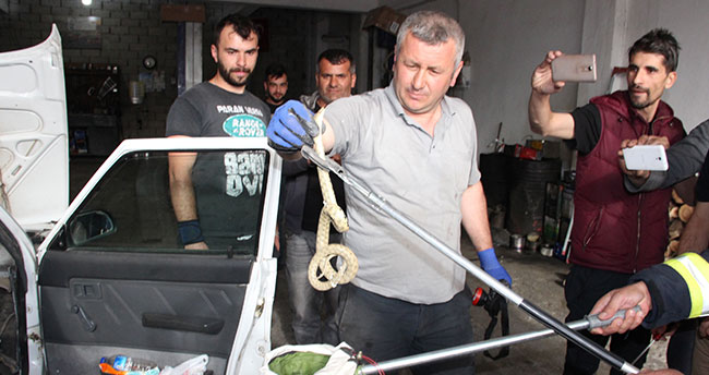 Konya-Karaman yolunda yılan paniği