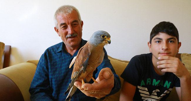 Bitkin halde bulunan kerkenez kuşu kurtarıldı
