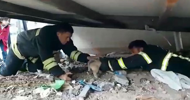 Yavru köpek mahsur kaldığı yerden kurtarılınca annesini emmeye başladı