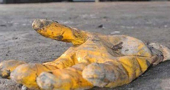 Konya’da iş kazası: 1 ölü