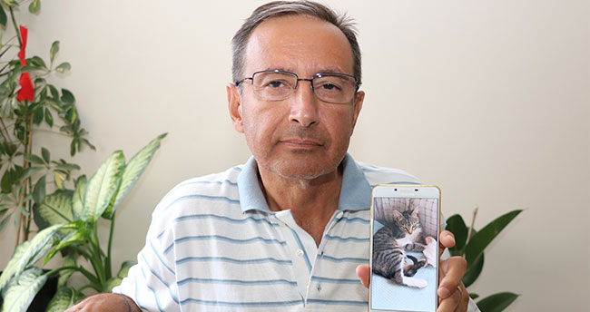 Minik dostlarını bulana ödül verecekler