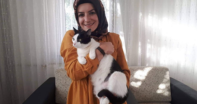 Beyşehirli anneler bu kez hasta hamile kedinin imdadına  yetişti