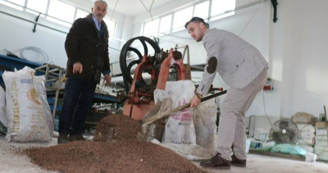 Zeytin çekirdeğinden yakıt elde ettiler