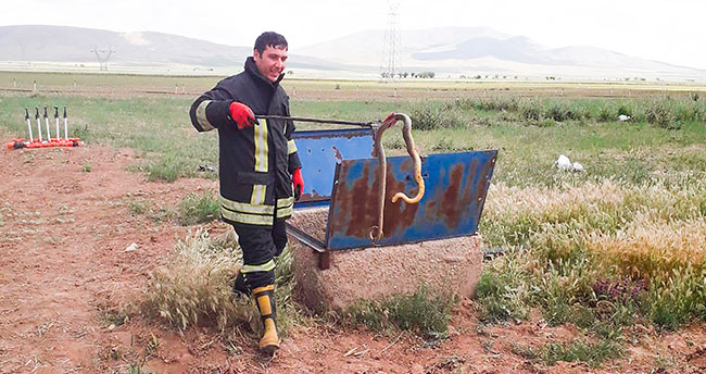 Rögardan çıkarılan yılanlar tekrar doğaya salındı
