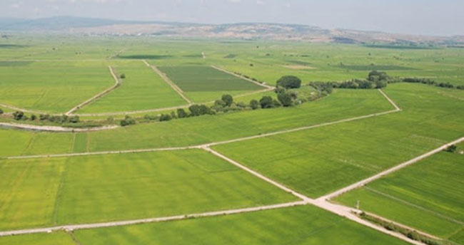 Arsa satışları geçen yılın ilk yarısına göre arttı! Konya 3. sırada…