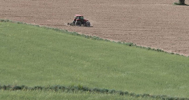 Hazineye ait tarım arazileri topraksız ve yeterli toprağı olmayan çiftçilere kiralanacak! Konya da var