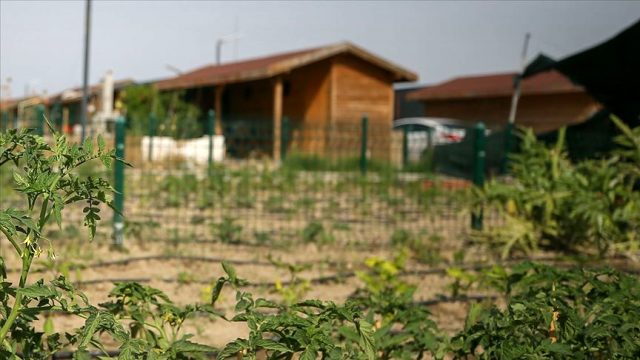 Tarımda ‘torba yasa’ geri çekildi, hobi bahçeleri düzenlemesi ertelendi