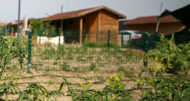 Hobi bahçesini kiralayana da ceza geliyor