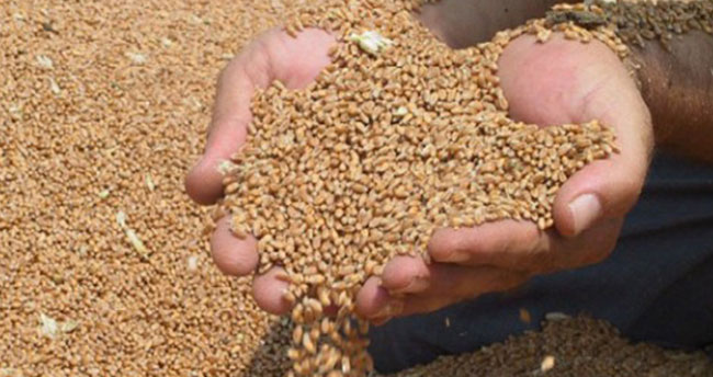 Konya Ticaret Borsası Başkanı Hüseyin Çevik açıkladı: Türkiye’nin 2023’teki “sertifikalı tohum” ihracatı hedefi 320 milyon dolar
