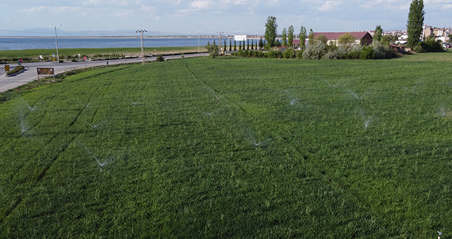 Konya’da kuraklık tehlikesi! Beyşehir’de yağışların azlığından bazı çiftçiler tarlalarını sulamaya başladı