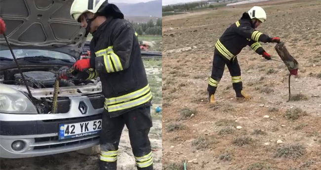 Konya’da otomobile giren yılanı itfaiye çıkarttı