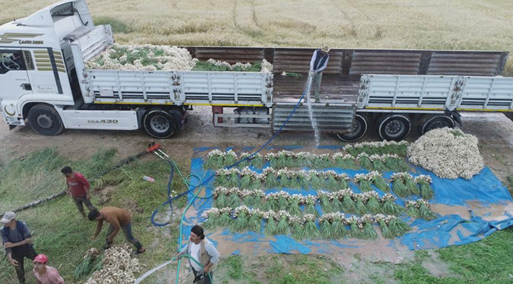 Aksaray’da sular çekildi, üreticiler az su isteyen ürünlere yöneldi
