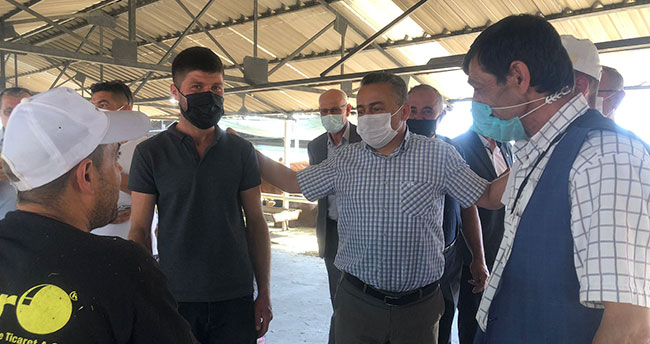 Seydişehir’de canlı hayvan pazarı açıldı