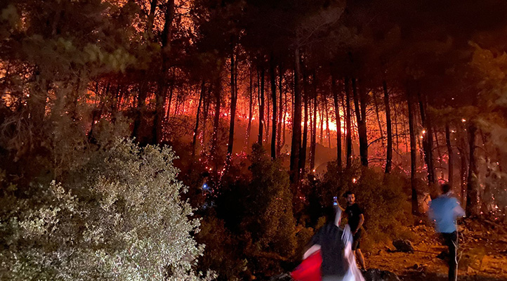Fethiye’de orman yangını