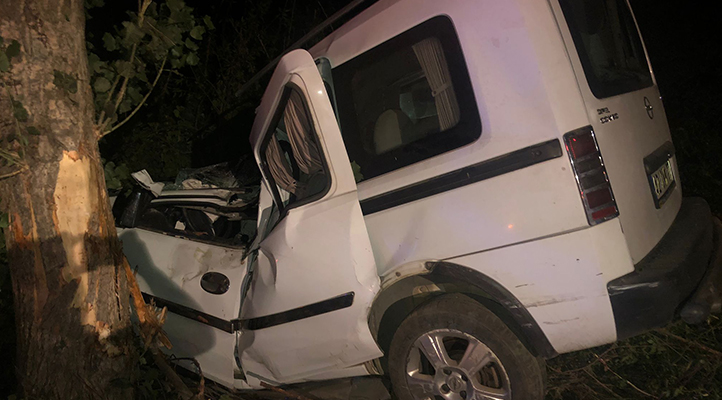 Konya’da ağaca çarpan kamyonetin sürücüsü öldü