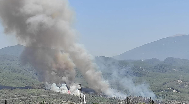 Hatay’da orman yangını çıktı