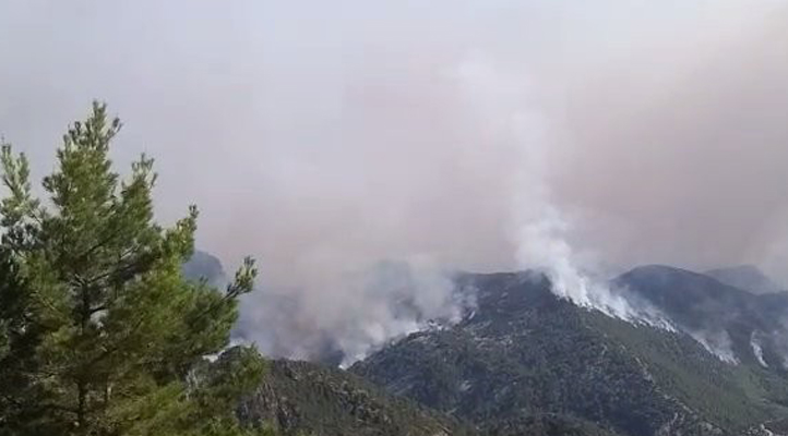 Eynif Ovası yanıyor! Çobanlar ve sürüleri tahliye edildi, yaban hayatı tehlikede