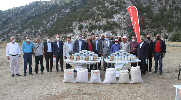 Konya’da kuru fasulye hasat şenliği