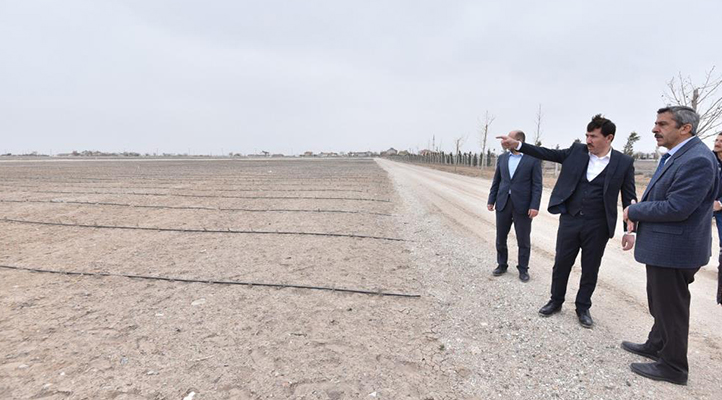 Karatay’daki lavanta bahçeleri 400 bin metrekare büyüklüğe ulaştı