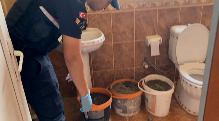 Aksaray’da banyoda boya kovalarında kenevir üretimine jandarma darbesi