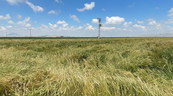 Konya ve Karaman’da hayata geçirilen ‘Uygulamalı çiftçi okulu’ enerji ve suda tasarruf, verimde artış getirdi