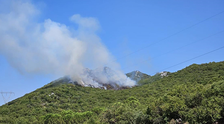 Antalya’nın Demre ilçesinde orman yangını çıktı