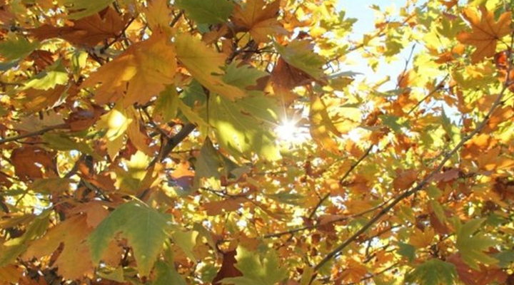 Pastırma sıcakları ne zaman başlıyor?