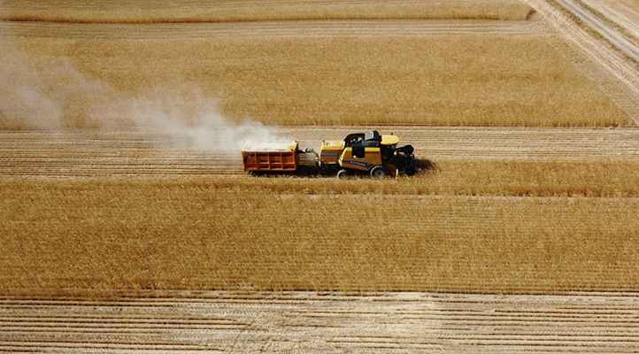 FAO Direktörü Dongyu: Gıda için yatırım yapmak, büyük kazançlar sağlayacak