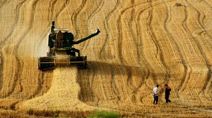 Türkiye, 19 tarım ürünü üretiminde dünyada ilk 4’te