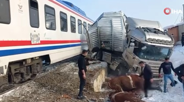 Muş’ta hayvan yüklü tıra tren çarptı: Ölü ve yaralılar var