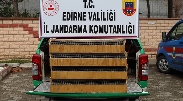 Yolcu otobüsünde 589 kuş ele geçirildi: Sürücüye 4 milyon lira ceza kesildi
