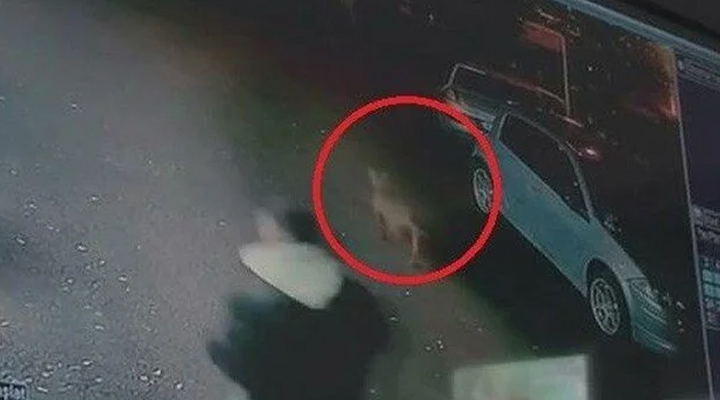 Cami avlusunda köpek saldırısı! Pitbull iki çocuğu yaraladı