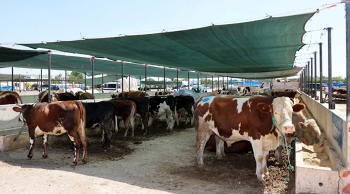 Selçuklu’da kurban satış ve kesim yerleri belirlendi