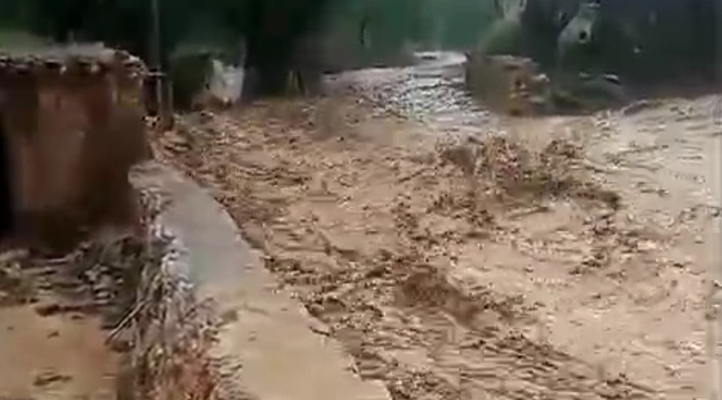 Van’da sağanak sele neden oldu