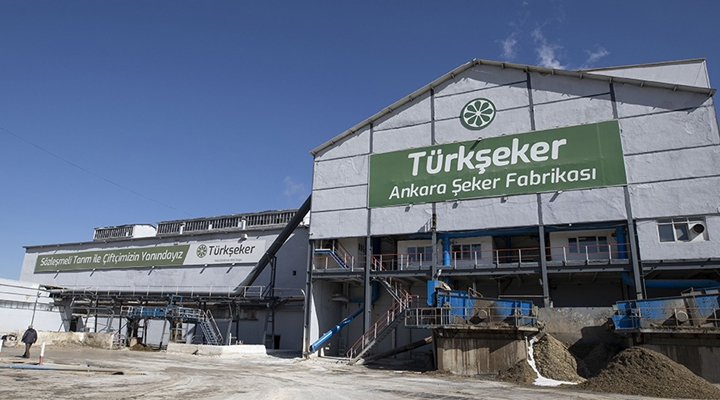 Yerli şeker pancarı tohumları gelecek yıl toprakla buluşacak
