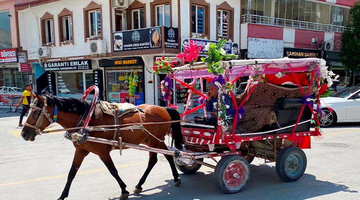 Konya’daki nostaljik at arabası, düğün ve sünnetlerde gezi keyfi ile ilgi görüyor