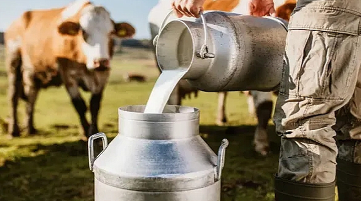 Ticari süt işletmelerince 1 milyon 14 bin 789 ton inek sütü toplandı