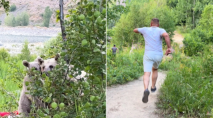 Göl kenarına pikniğe giden aile ayılarla karşılaştı; kurdukları sofrayı bırakıp kaçtılar