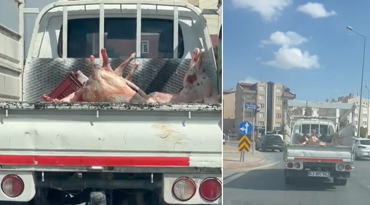 Konya’da mide bulandıran görüntü! Kilolarca eti kamyonet kasasında taşıdılar